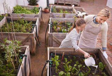 an image of mother and daughter caring for organic garden as part of their organic living life style