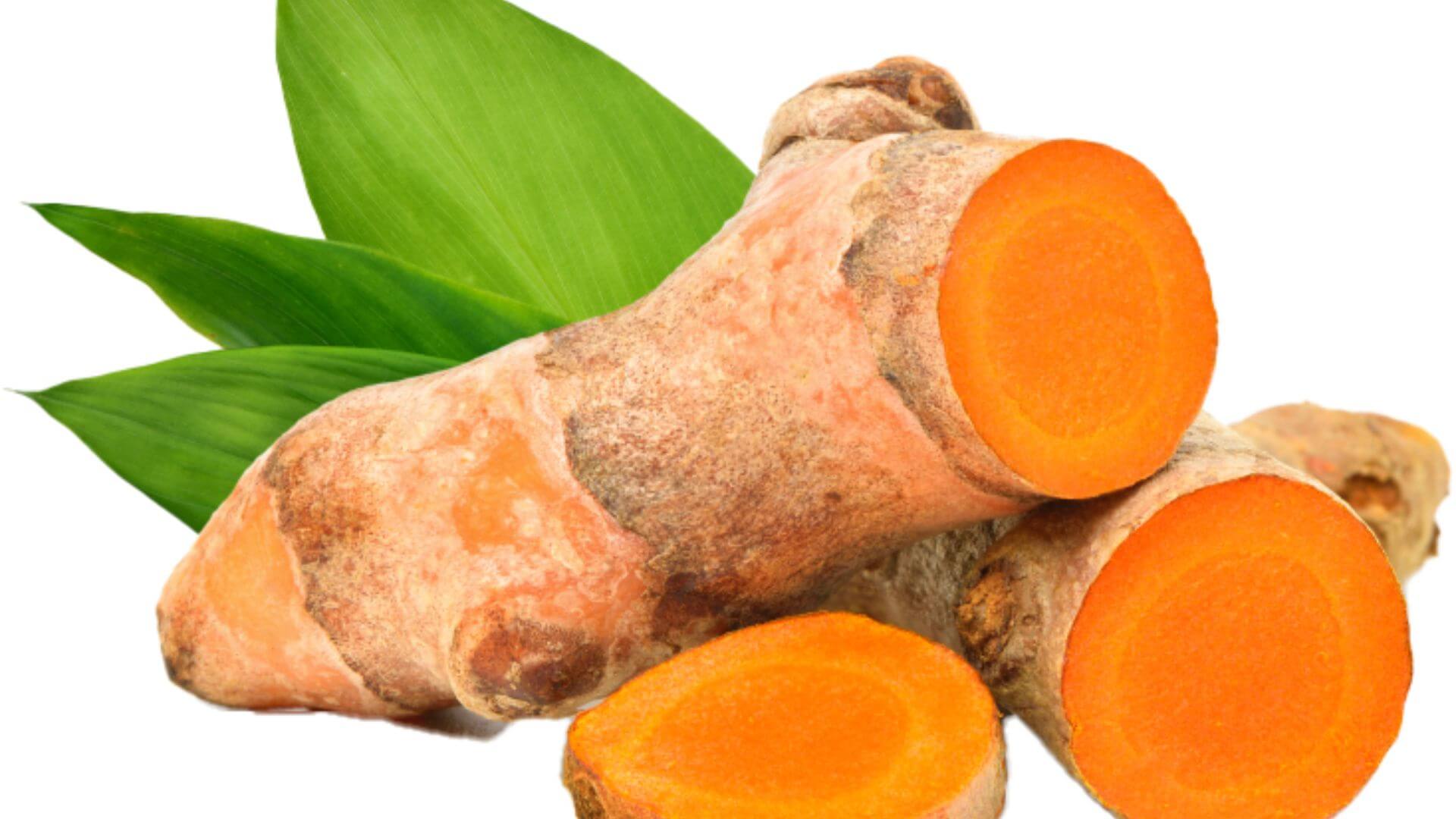 Where Does Turmeric Powder Come From? McGreens